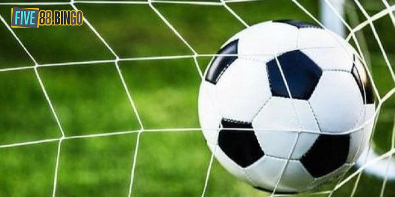 Chia sẻ cách đọc kèo rung là gì chuẩn nhất