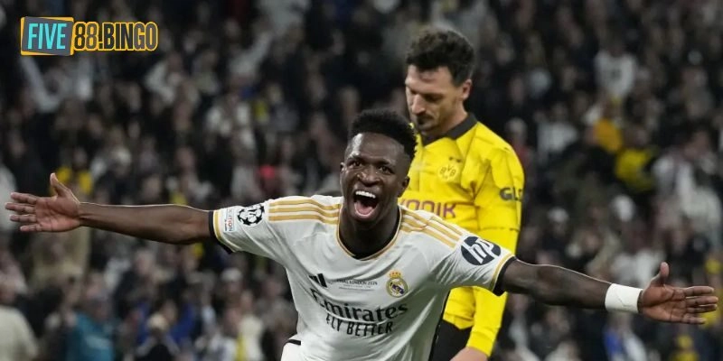 Nên tham khảo nhiều nền tảng thông tin