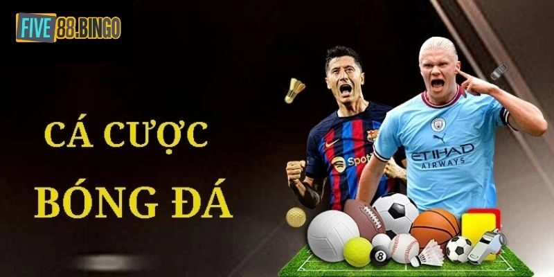 Five88 | Đọc Tỷ Lệ Cá Cược Bóng Đá Như Thế Nào Cho Đúng?