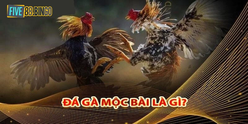 Sơ lược thông tin về đá gà Mộc Bài