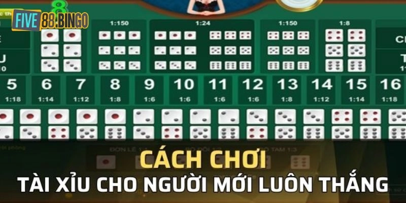 Hướng dẫn cách chơi tài xỉu chuẩn nhất cho tân binh