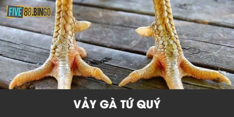 Đặc điểm nổi bật của chiến kê có vảy gà tứ quý 